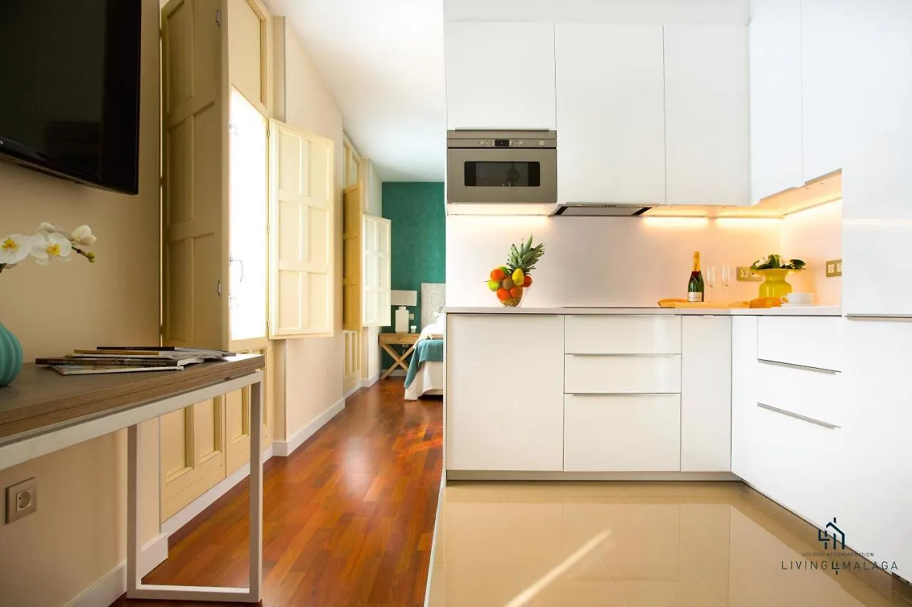 Living4Malaga Carcer Apartment